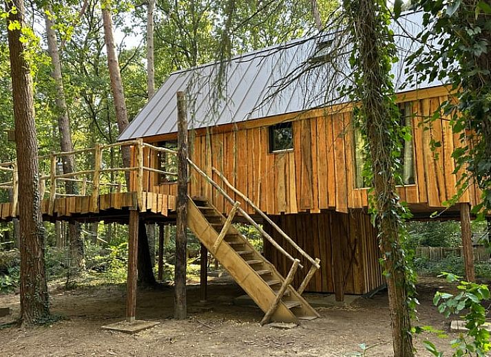 Dining area with deer chandelier in Cottage in Oisterwijk, vacation home in North Brabant.
