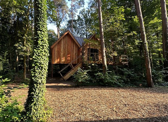 Open living room in Cottage in Oisterwijk, vacation home in the Heart of Brabant.