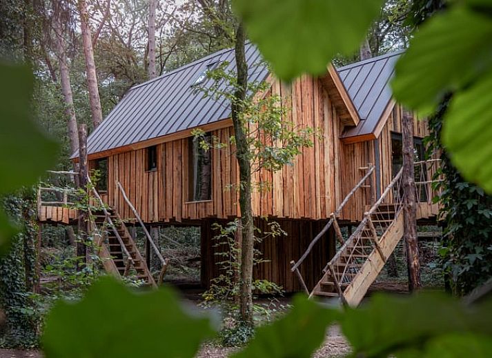 Open living room in Cottage in Oisterwijk, vacation home in the Heart of Brabant.