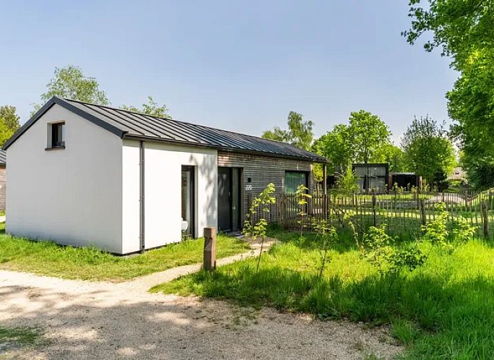 Verblijf 420257 - Bungalow Hart van Brabant - 4-6-persoons hondenlodge | 4-6BD