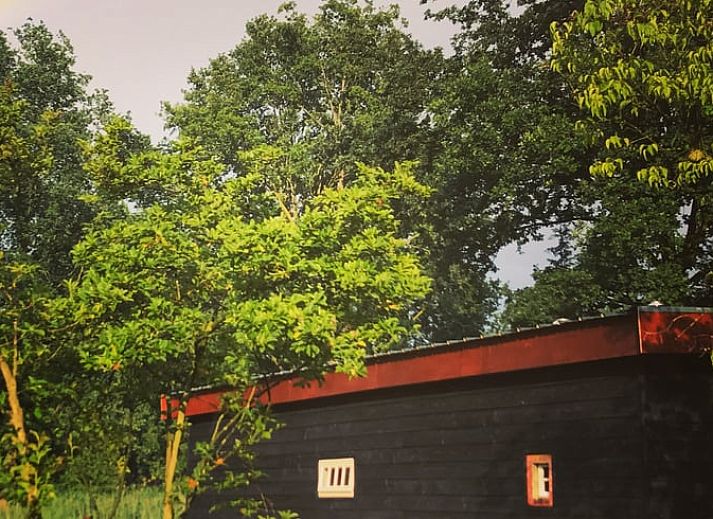 Stylish interior of Holiday Home in Liempde with colorful decorations and spacious dining area.