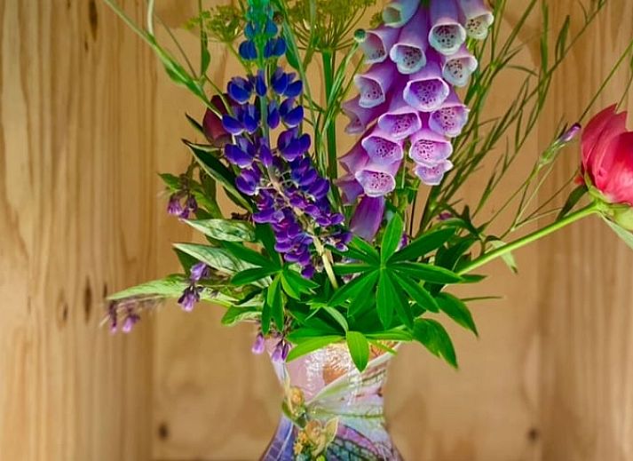 Cozy sitting area in Holiday home in Liempde overlooking the garden, North Brabant.