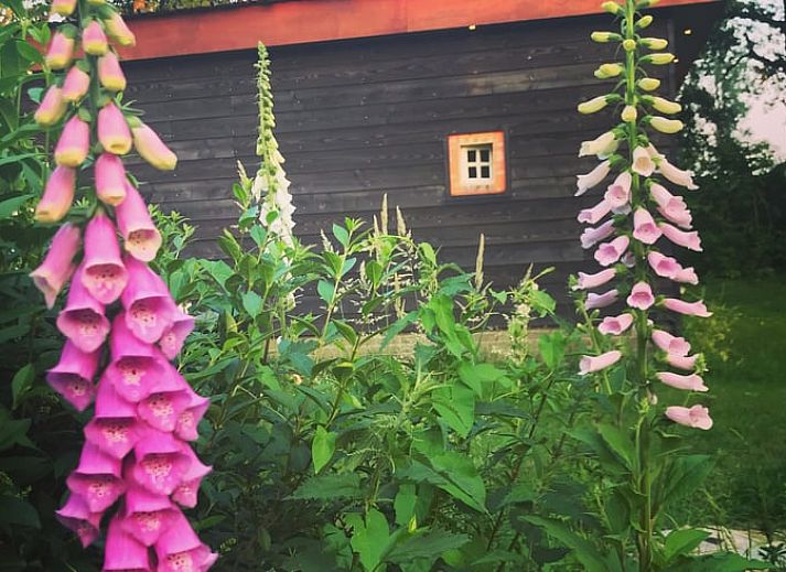 Cozy sitting area in Holiday home in Liempde overlooking the garden, North Brabant.