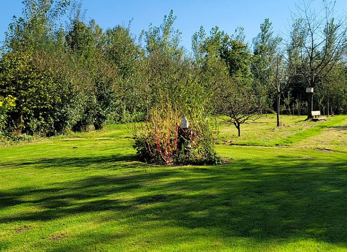 Unterkunft 420308 - Ferienhaus Hart van Brabant - Huisje in Liempde