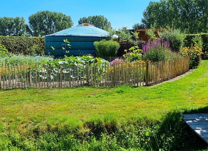 Cozy interior of Holiday Home in Liempde, North Brabant with natural light and wooden interior.