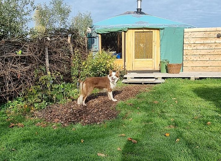 Cozy interior of Holiday Home in Liempde, North Brabant with natural light and wooden interior.