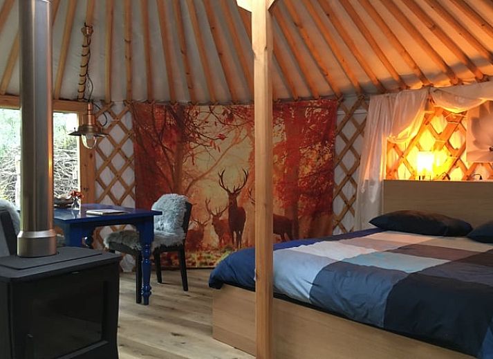 Exterior view of Holiday home in Liempde, Heart of Brabant with colorful flowers and green surroundings.