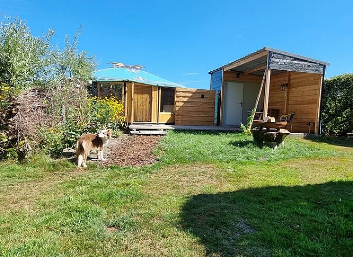 Beautiful garden surrounding Holiday home in Liempde, North Brabant with various flowers and plants.