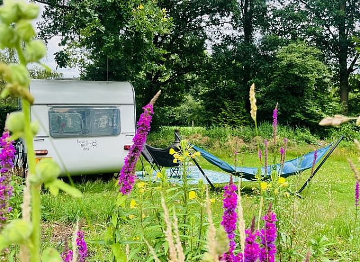 Verblijf 420316 • Vakantiewoning Hart van Brabant • Vakantiehuis in Liempde