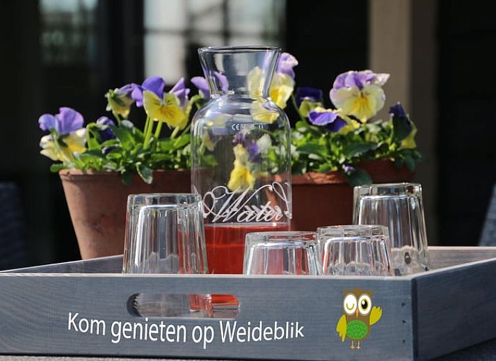 Guest house 420504 - Holiday property Hart van Brabant - Vakantiehuisje in Biezenmortel