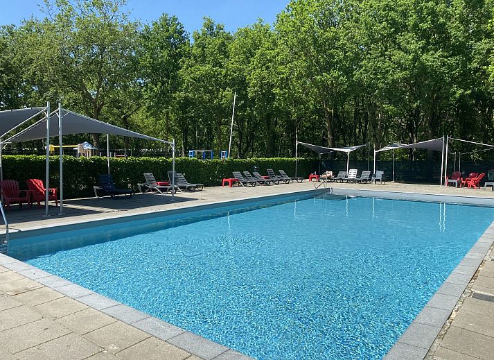 Das Ferienhaus Duinhoeve in Udenhout bietet ein charmantes Ferienhaus inmitten von Sand und Gruen im Herzen von Brabant.