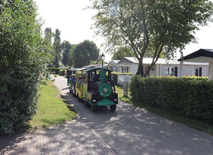 Erfrischendes Schwimmbad im Ferienhaus Duinhoeve in Udenhout, ideal fuer Entspannung in Nordbrabant.