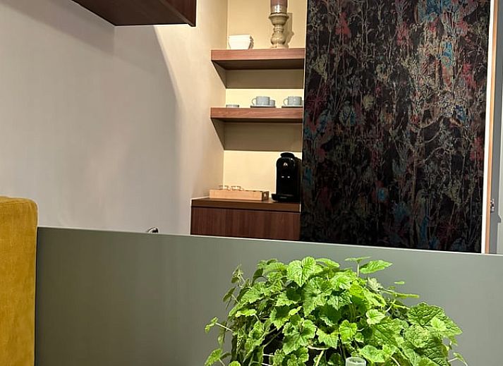 Gezellige binnenruimte van Huisje in Moergestel, vakantiehuis in Noord Brabant met een stijlvolle inrichting.