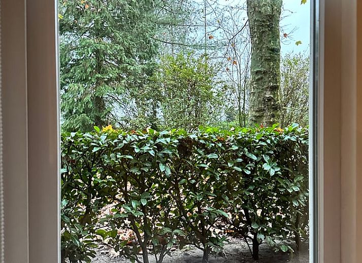 Stijlvolle wastafel in de badkamer van Huisje in Moergestel, vakantiehuis in Moergestel, Noord Brabant.