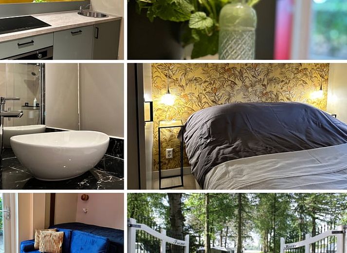 Guest house 421520 - Holiday property Hart van Brabant - Huisje in Moergestel