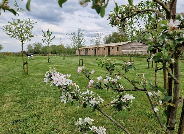Guest house 421525 - Holiday property Hart van Brabant - Vakantiehuis in Moergestel