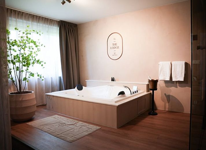 Gezellige woonkamer in Vakantiehuis in Moergestel, Hart van Brabant, Noord Brabant.