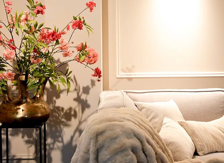 Luxe badkamer met jacuzzi in Vakantiehuis in Moergestel, Noord Brabant.