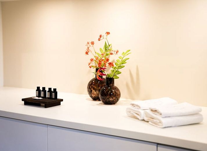 Luxe badkamer met jacuzzi in Vakantiehuis in Moergestel, Noord Brabant.