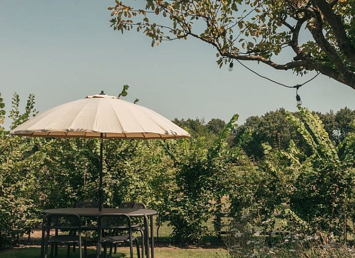 Charming entrance to Holiday home in Chaam, North Brabant with wooden facade and veranda in Heart of Brabant.