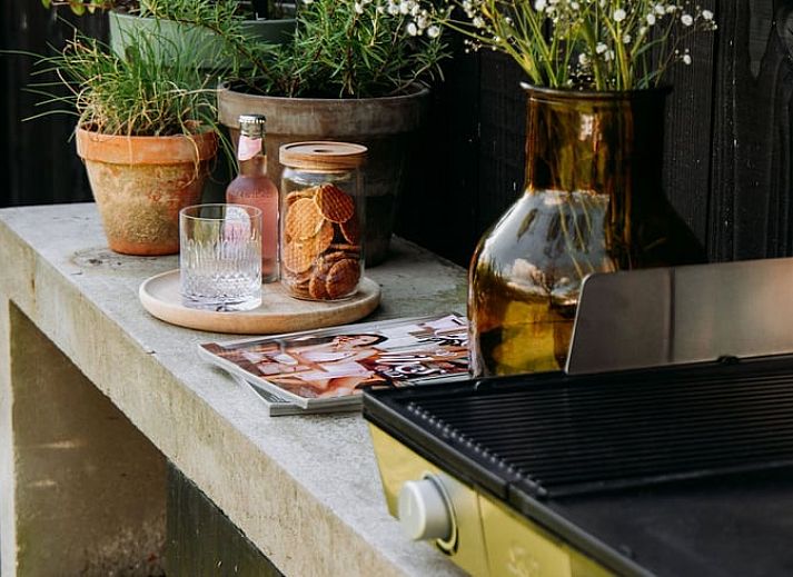 Sunny garden of Holiday Home in Chaam, North Brabant with modern wooden finishes and natural surroundings.