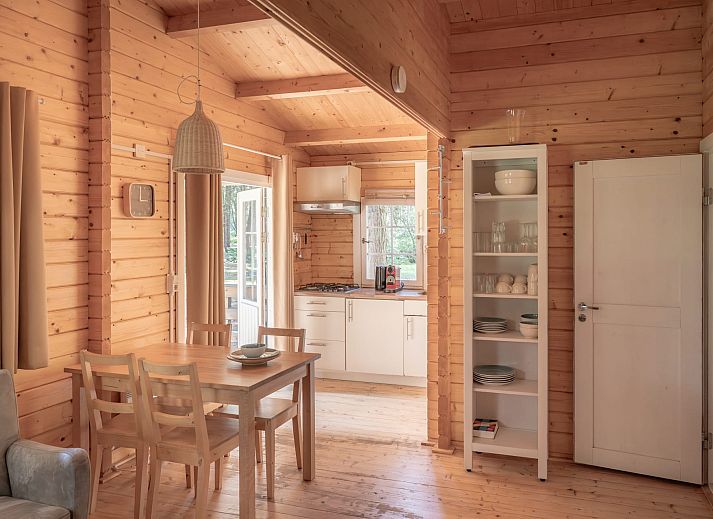 Forest Lodge vakantiehuis in Chaam, Hart van Brabant, omgeven door hoge bomen voor een rustgevende natuurervaring.