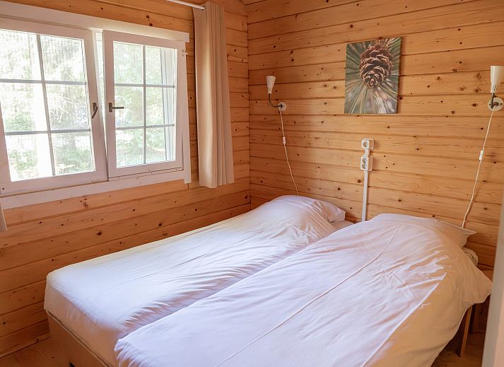 Veranda van Forest Lodge in Chaam, Noord Brabant, biedt een gezellige plek om te ontspannen in de natuur.