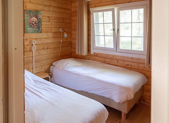 Veranda van Forest Lodge in Chaam, Noord Brabant, biedt een gezellige plek om te ontspannen in de natuur.