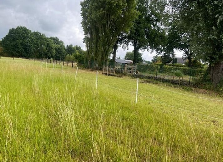 Guest house 421820 - Holiday property Hart van Brabant - Vakantiehuis in Chaam