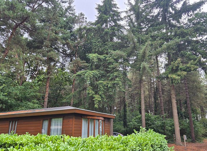 Verblijf 421828 - Chalet Hart van Brabant - Chalet in Chaam