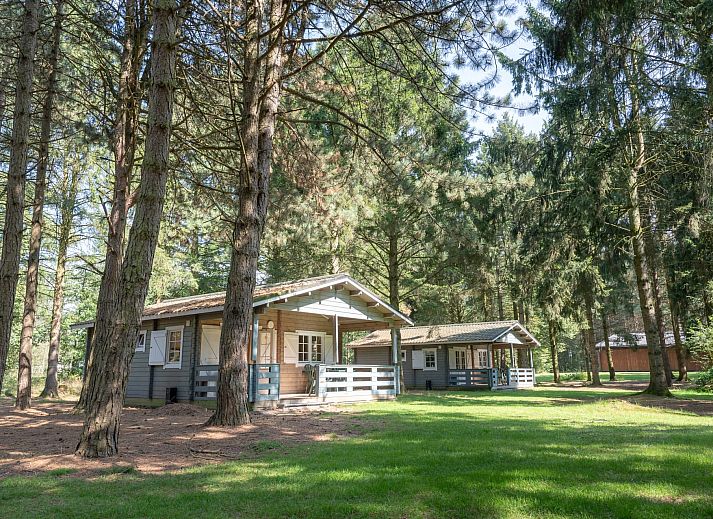 Finnische Lodge Plus in Chaam, Nordbrabant, umgeben von gruener Natur und Baeumen, ideal fuer einen erholsamen Ferienaufenthalt.