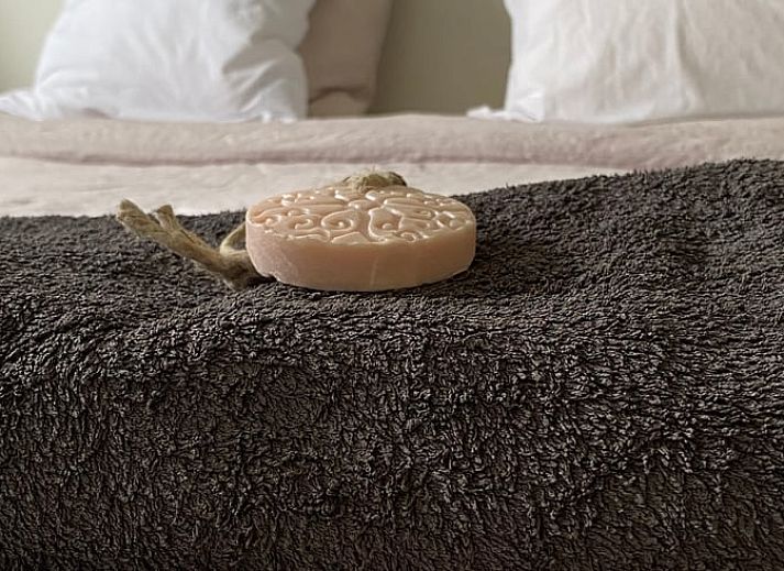 Unterkunft 421830 - Ferienhaus Hart van Brabant - Huisje in Chaam