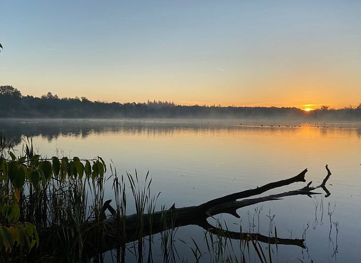 Unterkunft 421830 - Ferienhaus Hart van Brabant - Huisje in Chaam