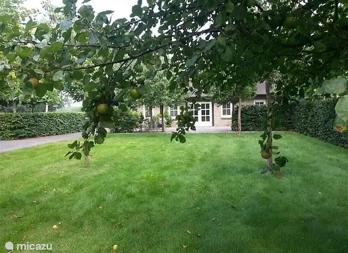 Verblijf 421834 - Vakantiewoning Hart van Brabant - Cottage Dassemus