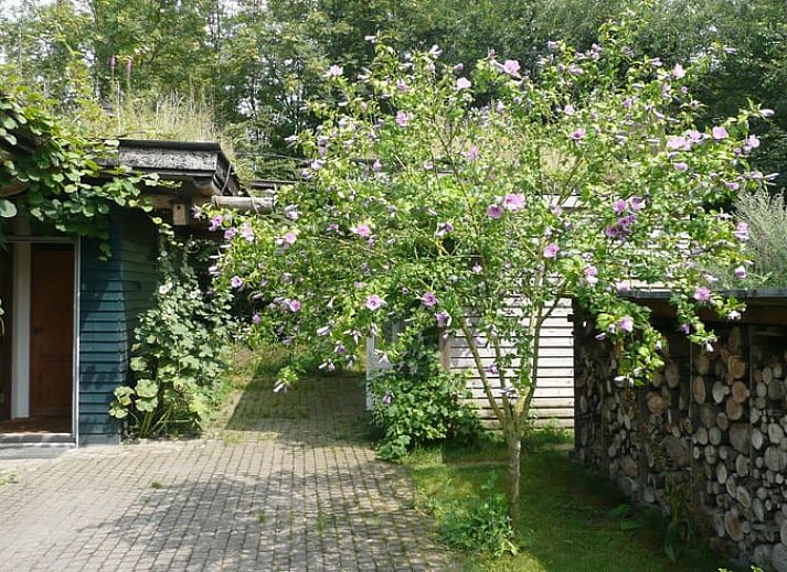 Verblijf 422005 - Vakantiewoning Hart van Brabant - Vakantiehuis in Haaren