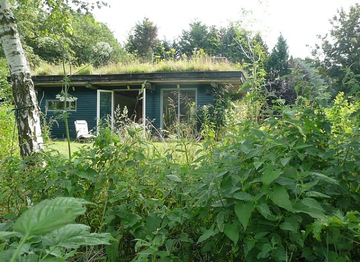 Verblijf 422005 - Vakantiewoning Hart van Brabant - Vakantiehuis in Haaren
