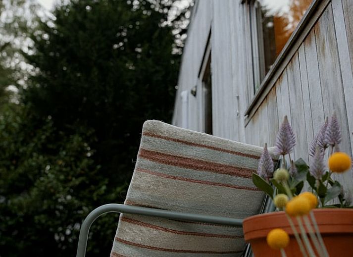 Entree van het Vakantiehuis in Diessen, Hart van Brabant, met open deuren naar het terras.