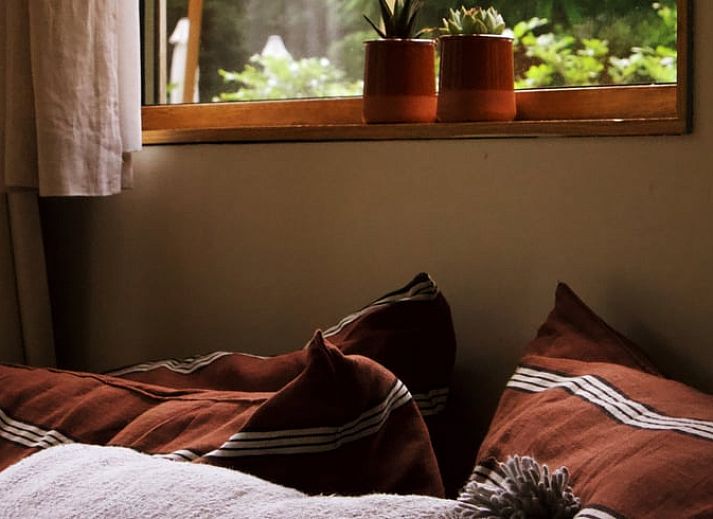 Gezellig hoekje met stoel en bloemen bij Vakantiehuis in Diessen, Noord Brabant.