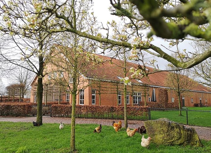 Guest house 422110 • Holiday property Hart van Brabant • Vakantiehuis in Diessen