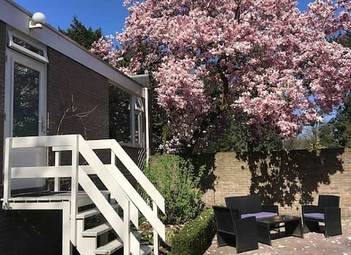 Guest house 422306 • Holiday property Hart van Brabant • Huisje in Dongen