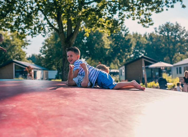 Unterkunft 4225111 - Ferienhaus Hart van Brabant - Tiny House