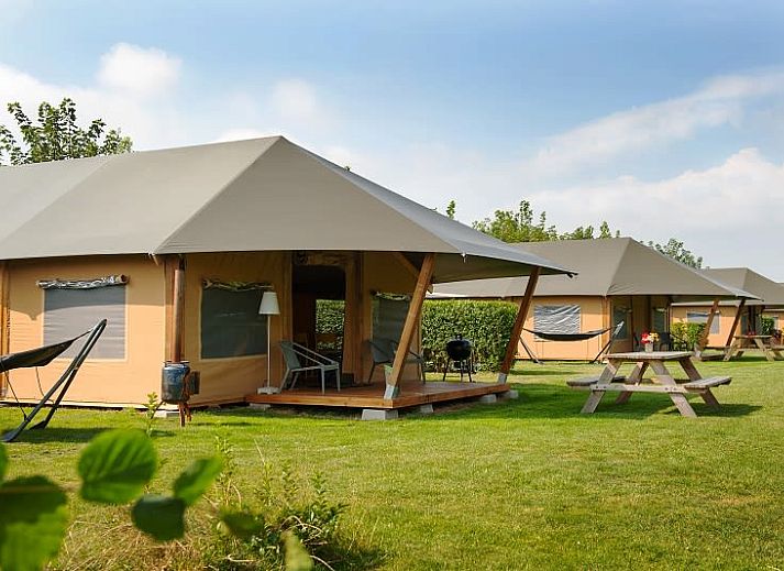 Guest house 4225117 - Tent house Hart van Brabant - Barntent