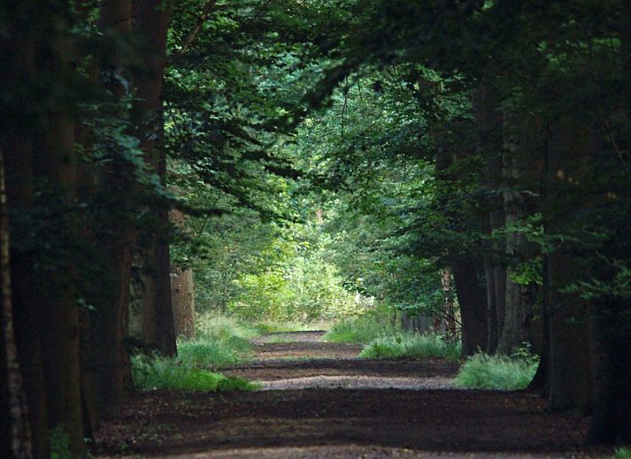 Houten sauna in 't Kaatsheuveltje 1 vakantiehuis in Kaatsheuvel, Hart van Brabant, Noord Brabant voor ultieme ontspanning