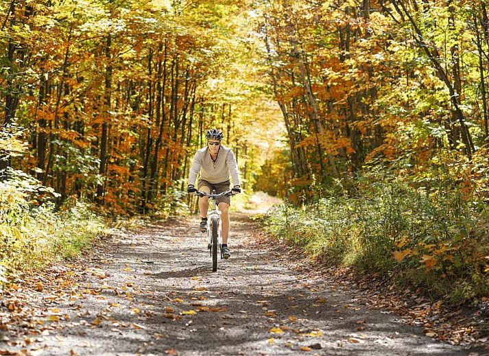 Houten sauna in 't Kaatsheuveltje 1 vakantiehuis in Kaatsheuvel, Hart van Brabant, Noord Brabant voor ultieme ontspanning