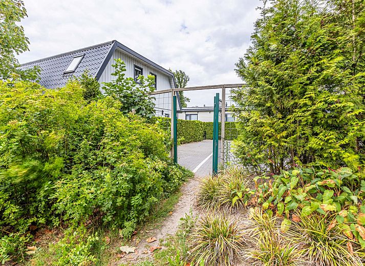 Rckseite des Chalets in Kaatsheuvel, umgeben von Natur in Hart van Brabant, Nordbrabant.