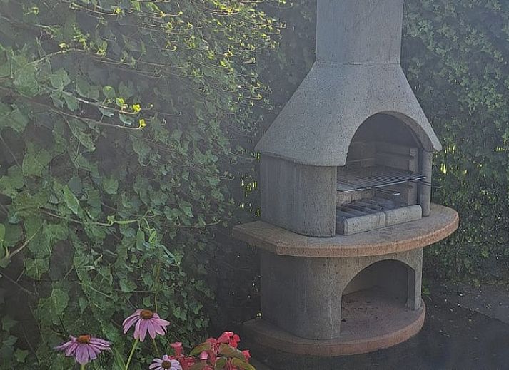 Ruime tuin bij Vakantiehuis in Kaatsheuvel, ideaal voor ontspanning in Hart van Brabant, Noord Brabant.