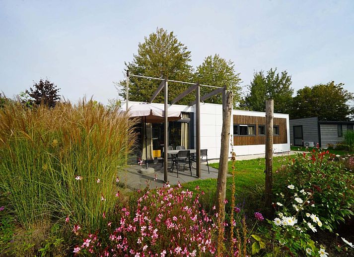 Unterkunft 422549 • Ferienhaus Hart van Brabant • Pavilion 4