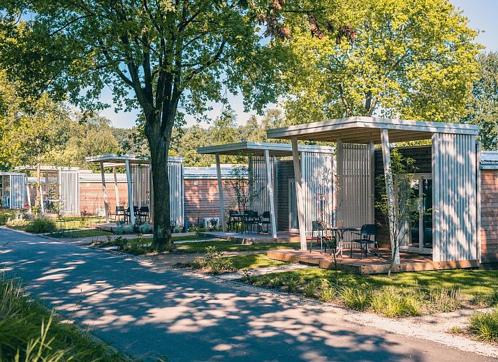 Tiny Cottage 2+2 in Kaatsheuvel, Noord Brabant, een charmant vakantiehuis met terras omringd door groene natuur.