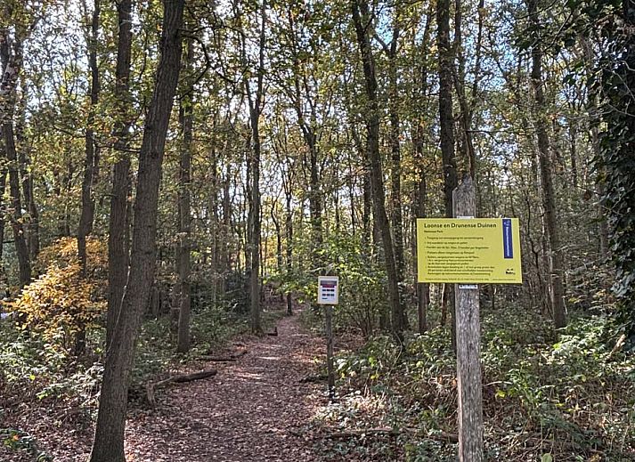 Gemtliches Wohnzimmer eines freistehenden Hauses in Kaatsheuvel, Nordbrabant, mit moderner Einrichtung und gemtlichem Kamin.