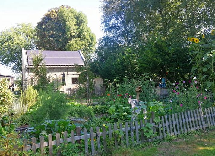 Modern kitchen in Cottage in Kaatsheuvel, vacation home in the heart of Brabant.